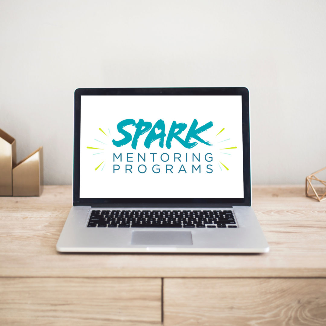 Spark The Spark Mentoring Program