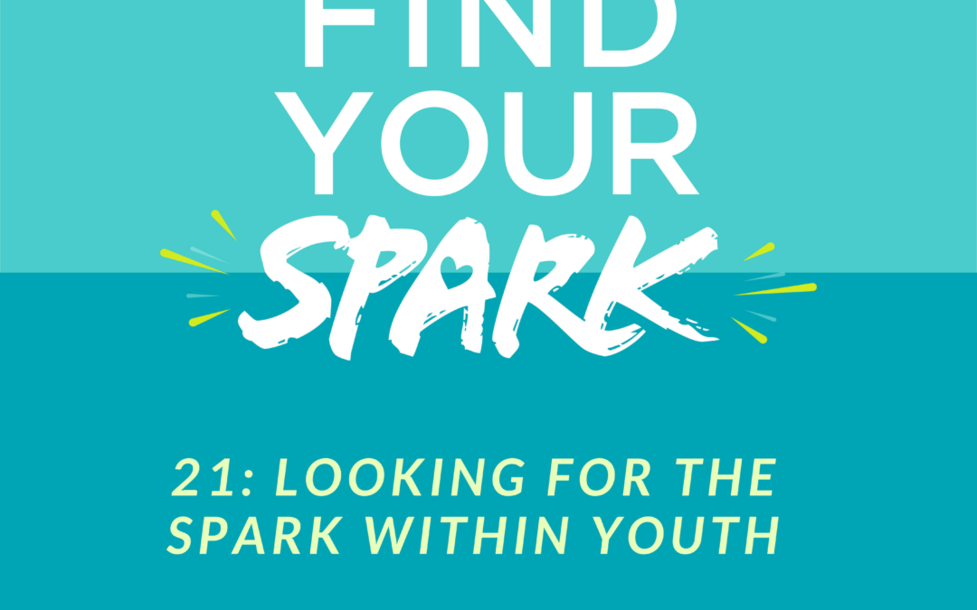 Looking for the SPARK within Youth