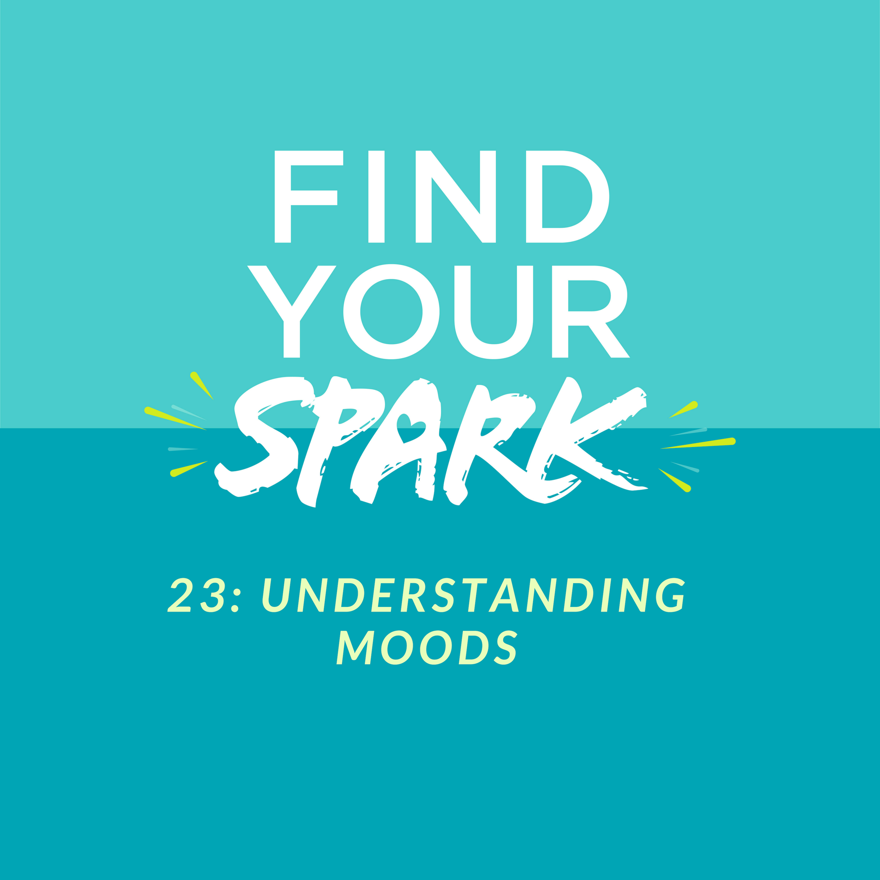 23: Understanding Moods