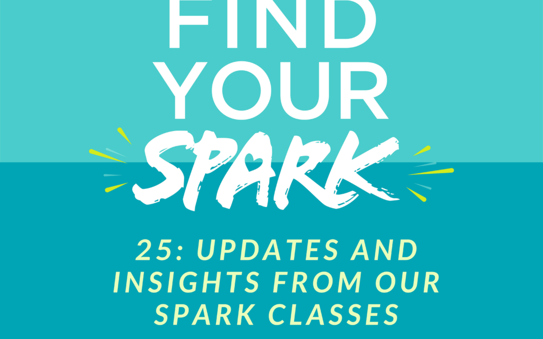 Updates and Insights from our SPARK Classes