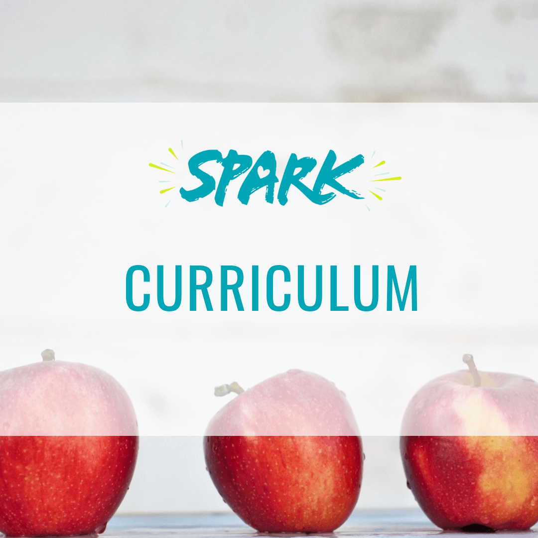 Spark - Curriculum