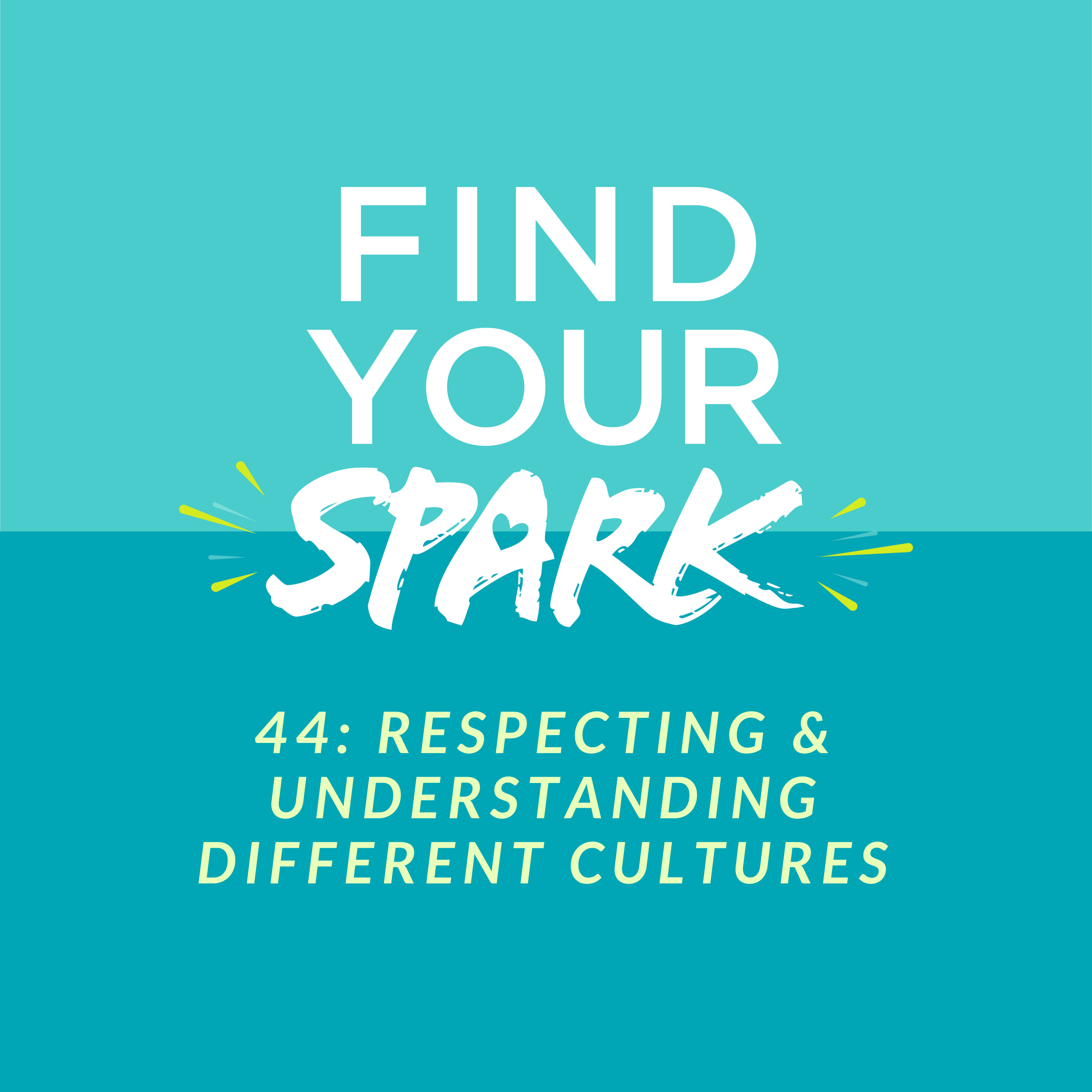 44: Respecting and Understanding Difference in Cultures