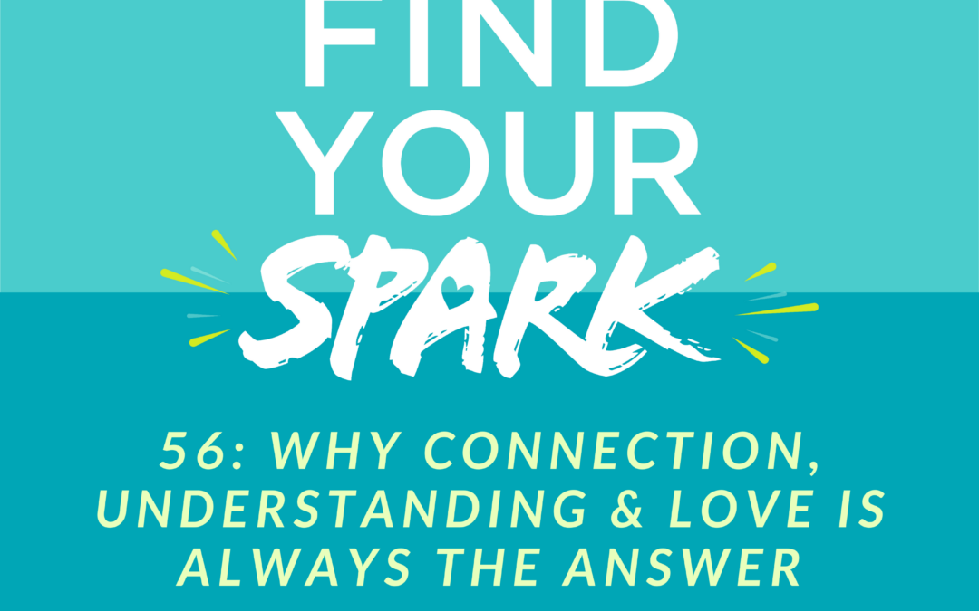 Why Connection, Understanding & Love is Always the Answer