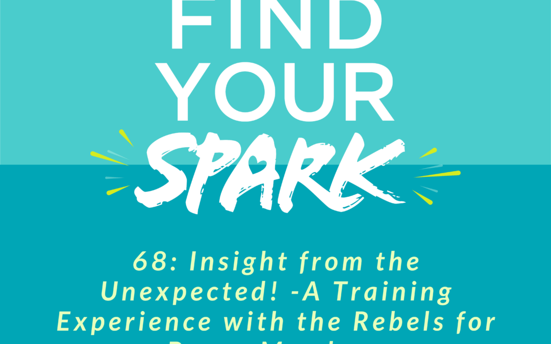 Insight from the Unexpected! – A Training Experience with the Rebels for Peace Members