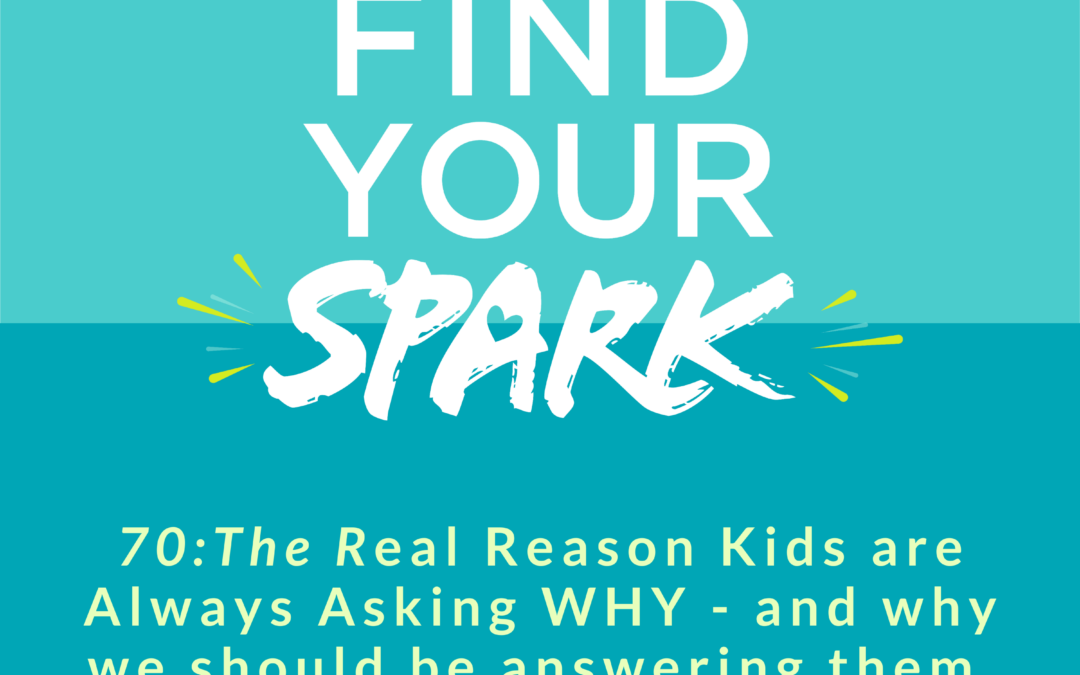 The Real Reason Kids are Always Asking WHY – and why we should be answering them.