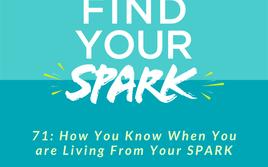 How You Know When You are Living From Your Spark