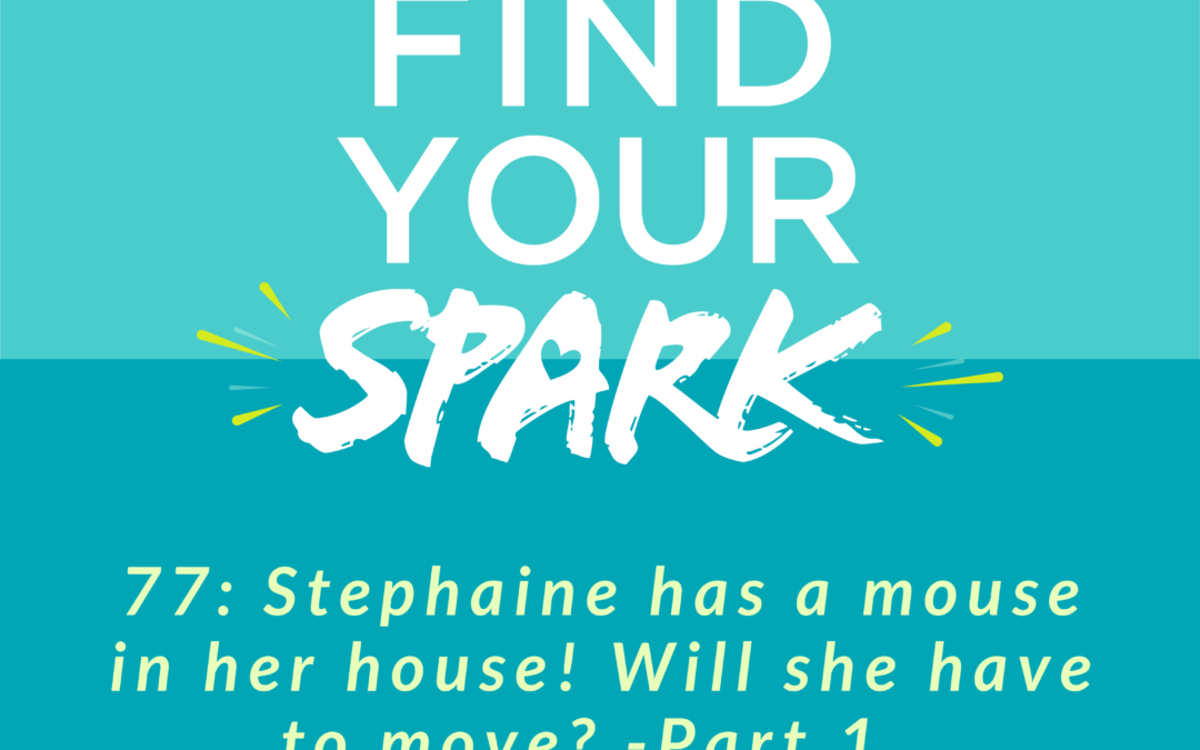 Stephanie has a mouse in her house! Will she have to move? – Part 1