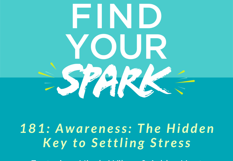 181: Awareness: The Hidden Key to Settling Stress