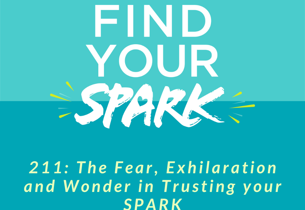 211: The Fear, Exhilaration and Wonder in Trusting your SPARK