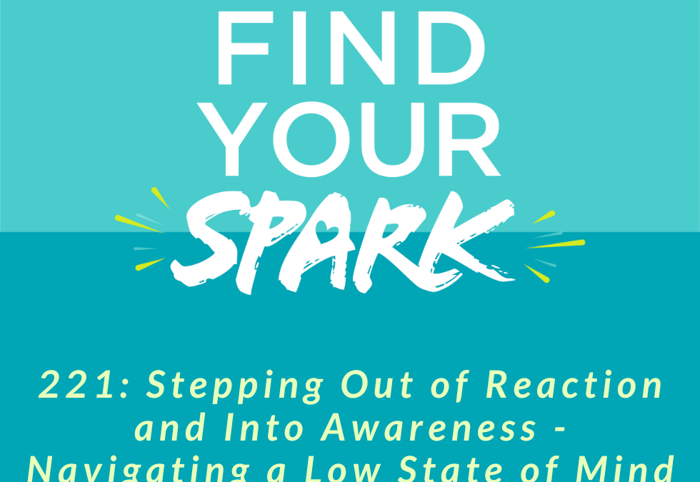 221: Stepping Out of Reaction and Into Awareness – Navigating a Low State of Mind