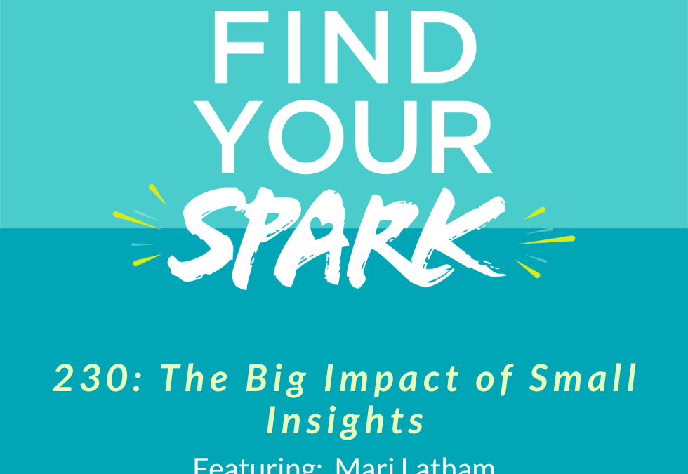 230: The Big Impact of Small Insights